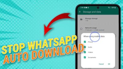Stop WhatsApp Auto Download